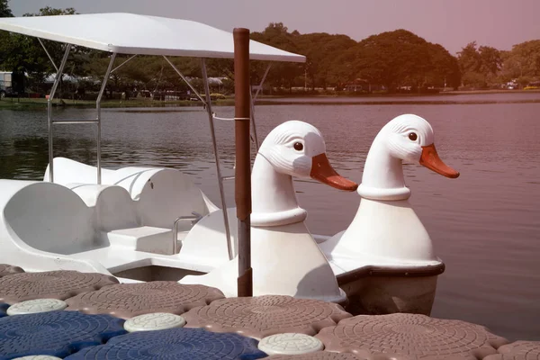 Barcos de cisne branco ao ar livre Estilo para relaxar no lago em um parque . — Fotografia de Stock