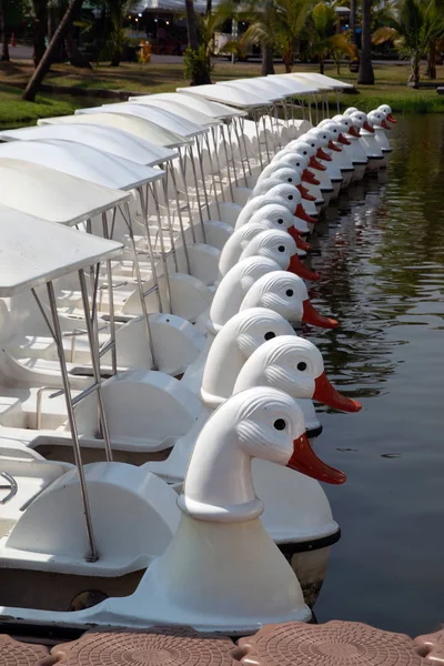 Outdoor white swan boats Style for relaxation on the lake in the a park. — Stock Photo, Image