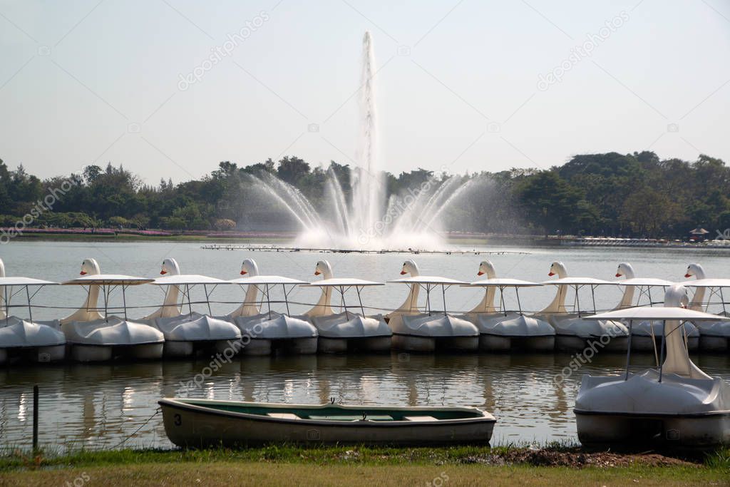 Outdoor white swan boats Style for relaxation on the lake with fountain in the a park. 