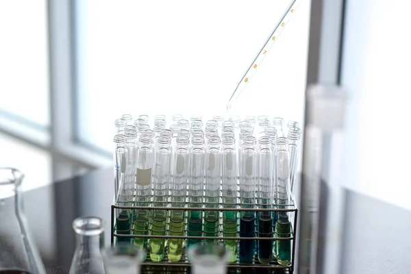 Nombre: laboratorio de investigación médica o muestras de prueba de laboratorio o una solución con una pipeta y noventa y seis bandeja de células de pozo . — Foto de Stock