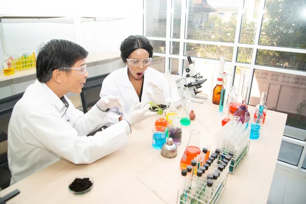 Två forskare arbetar i laboratoriet. Unga kvinnliga forskare och hennes senior handledare gör utredningar på laboratorieutrustning. — Stockfoto
