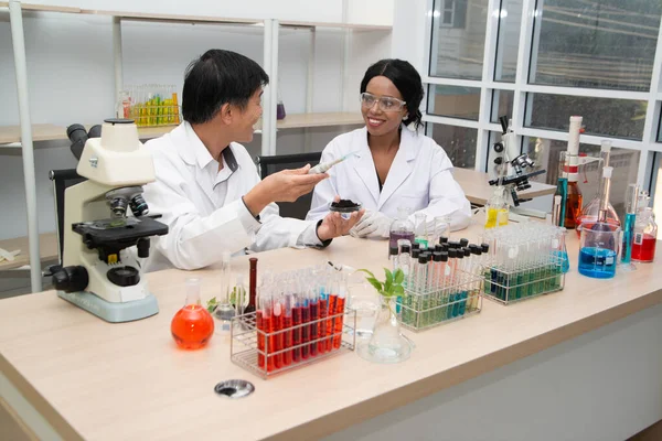 Två forskare arbetar i laboratoriet. Unga kvinnliga forskare och hennes senior handledare gör utredningar på laboratorieutrustning. — Stockfoto