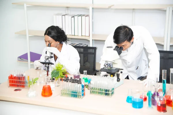 Dos científicos están trabajando en laboratorio. Una joven investigadora y su supervisor senior están haciendo investigaciones sobre equipos de laboratorio . — Foto de Stock