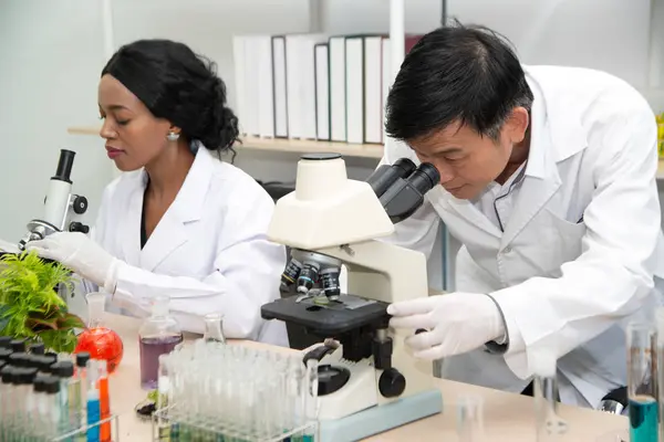 Dos científicos están trabajando en laboratorio. Una joven investigadora y su supervisor senior están haciendo investigaciones sobre equipos de laboratorio . — Foto de Stock