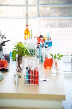 Medical research lab or Laboratory test testing samples or a sol