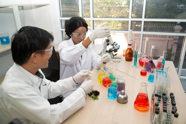 Twee wetenschappers werken in het laboratorium. Jonge vrouwelijke onderzoeker en haar senior toezichthouder doet onderzoek naar het laboratoriumapparatuur. — Stockfoto