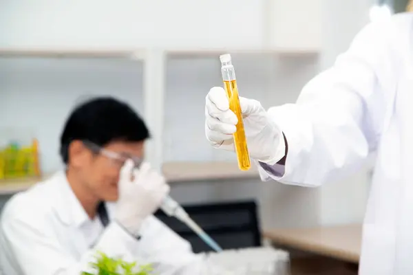 Forskare med utrustning och vetenskapliga experiment, laboratorieglas som innehåller kemisk vätska för forskning eller analys av ett prov i provrör i laboratorium. — Stockfoto