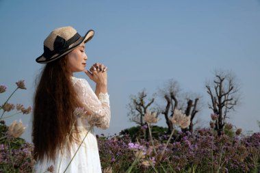 Asyalı güzel bir kadın Verbina Bonariensis çiçek bahçesinde duruyor ve farklı jestlerle eğleniyor.. 