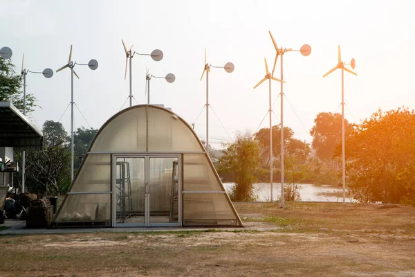 Une serre largement légumes par l'énergie solaire et éolienne . — Photo