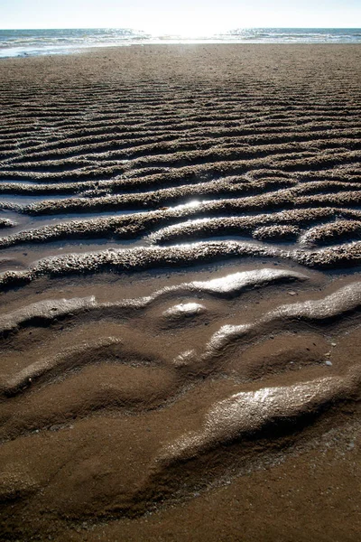 Naturliga Sandmönster Stranden Vid Lågvatten — Stockfoto