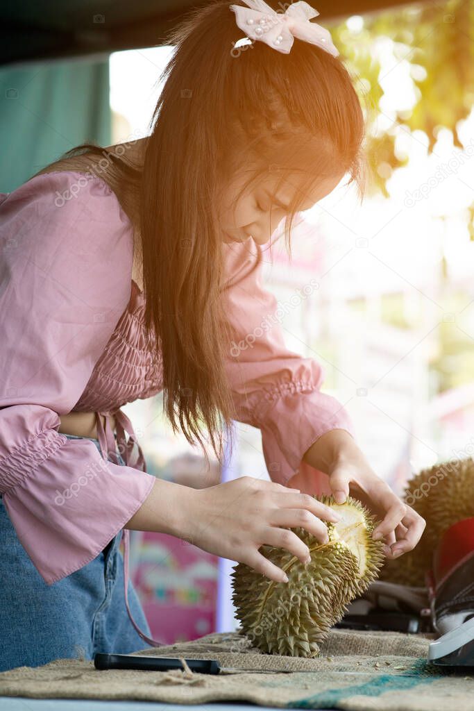 Asian pretty woman tearing durian by hand, durians, often called the king of fruits peels fruits. It is a big fruit with a strong smell & a hard shell with sharp thorns.
