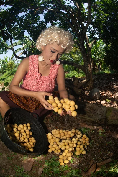 Den Äldre Asiatiska Kvinnan Skär Och Väljer Den Söta Longkong — Stockfoto