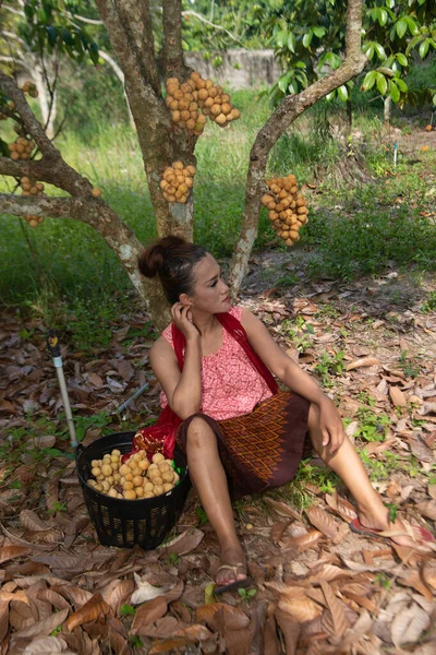 Senior Aziatische Vrouw Poseren Zit Ontspanning Onder Longkong Boom Tuin — Stockfoto