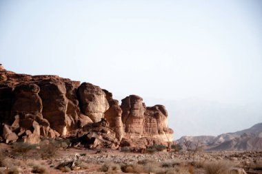 Timna Parkı, İsrail - Aralık 2019. Öğleden sonra güneşli bir günde Eilat yakınlarındaki çöl manzarası kayayla kaplı..