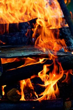 Şöminede yakın çekimde odun yanıyor. Sıcak turuncu şenlik ateşi ve odun parçaları.