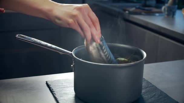 Шеф-повар кладет свежего розового лосося на сковороду — стоковое видео