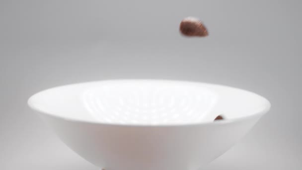 Płatki czekoladowe i mleko spadają do białej miski w zwolnionym tempie — Wideo stockowe