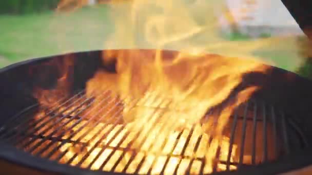 Llama y fuego en la parrilla barbacoa en el soleado día de verano — Vídeo de stock