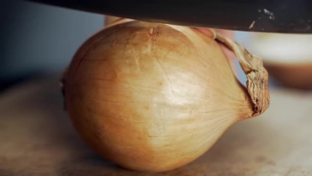 Hausfrau halbiert Zwiebeln, Köchin macht Gemüsesalat — Stockvideo