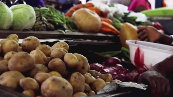 Homem compra legumes no mercado local indiano — Vídeo de Stock