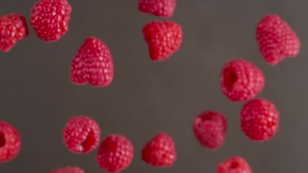 Marco shot of raspberries falls down in slow motion — Stock Video
