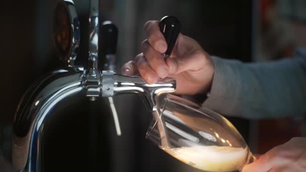 Camarero utiliza grifo de cerveza y vierte cerveza de barril al vaso en cámara lenta — Vídeos de Stock