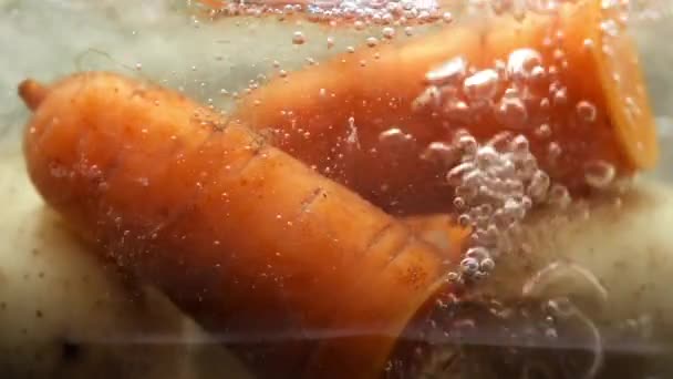 끓는 물 속의 당근 과 감자 — 비디오