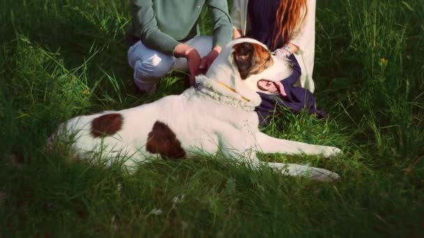Jeune couple européen ont un repos à l'extérieur avec leur grand chien de berger d'Asie centrale — Video