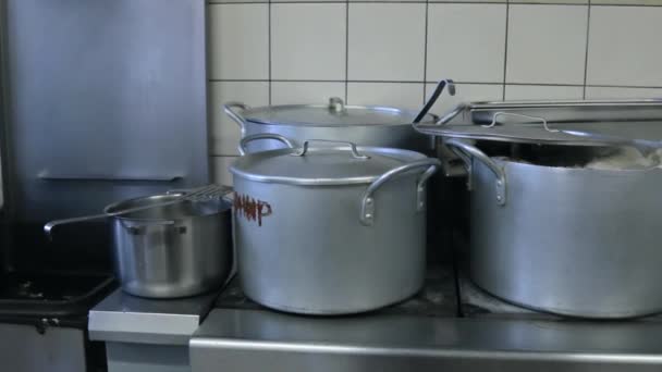 Az étel serpenyőkben és csészealjakban főtt a tűzhelyen a konyhában. — Stock videók