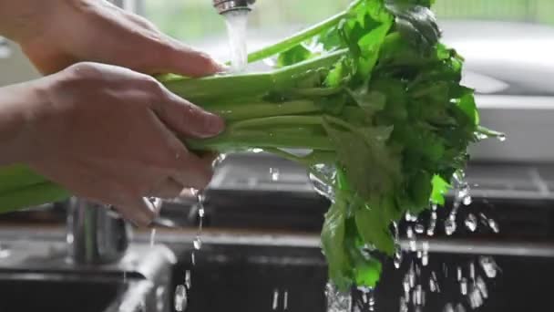 Donna lava i verdi sotto l'acqua corrente in cucina — Video Stock