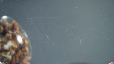 Aşçı tabağa ceviz ekler.