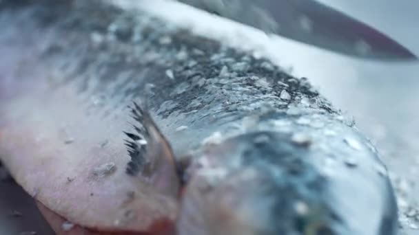 De kok snijdt en marineert vis — Stockvideo