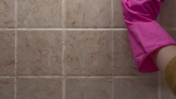 Zblízka záběr čištění špinavé dlaždice zeď s rukou v gumové rukavici houbou — Stock video