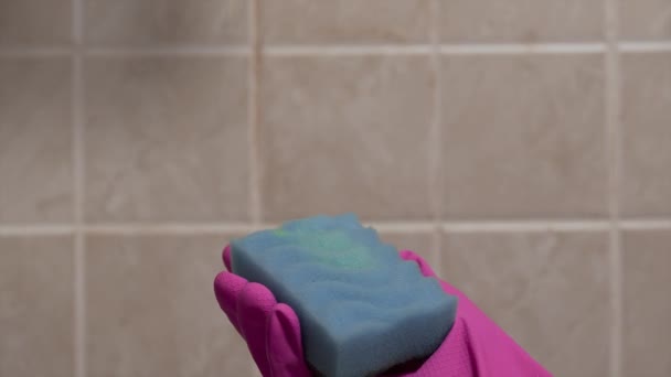 Close up tiro de derramar os produtos químicos domésticos para a esponja — Vídeo de Stock