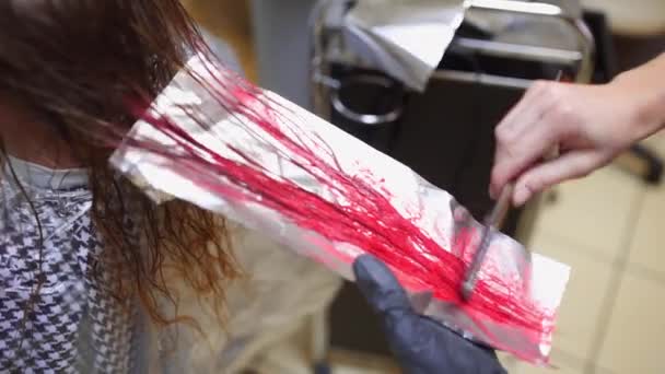 Kapper doet haar kleuren in beauty studio — Stockvideo