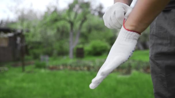Erkek, iş için bahçe hazırlıklarında eldivenlerini giyer. — Stok video
