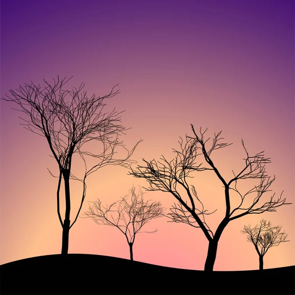 Ilustrace Krajiny Stromy Východem Slunce — Stock fotografie