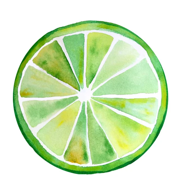 Fatia Limão Verde Amarela Fresca Isolada Ilustração Estilizada Aquarela Segmento — Fotografia de Stock