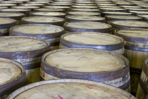 Tops of oak barrels in bourbon distillery