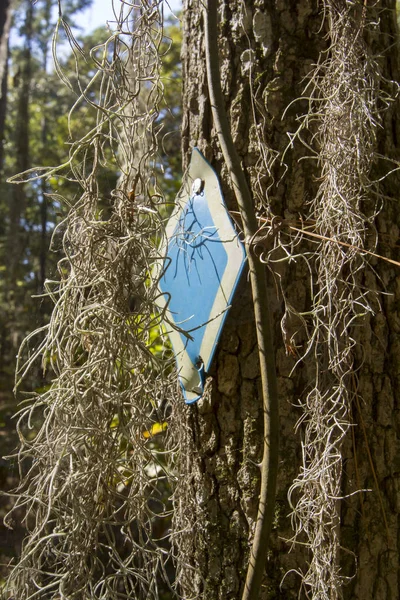 Spanish moss and trail marker