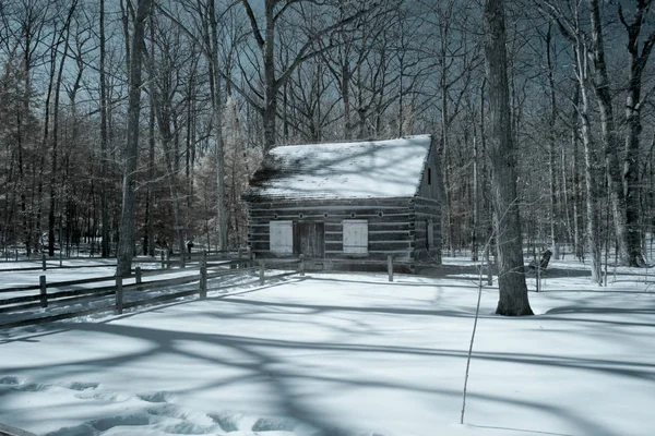 Rustic cabin in snowy woods in Michigan
