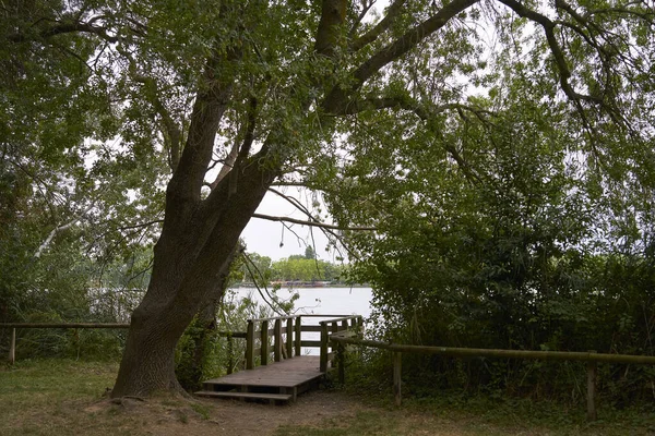 Punct Vedere Cald Lacului Banyoles Adăpostit Umbra Copacilor — Fotografie, imagine de stoc