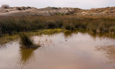 Ebro nehrinin ağzındaki kum tepeleri kıyı şeridini sınırlıyor.