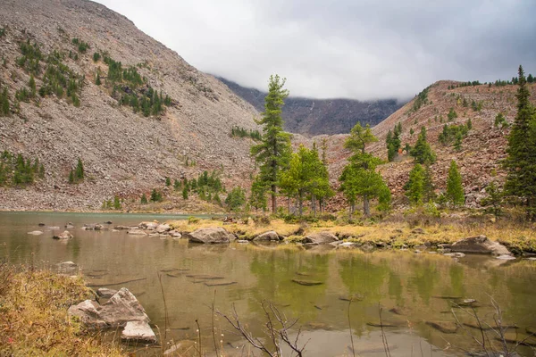 Shushenskiy Bor doğa parkına git. Khakassia.