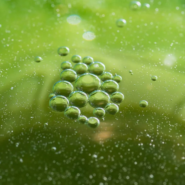 Sudaki yağ damlaları uzaya benzer muhteşem görüntüler oluşturur. Makro. Soyutlama.