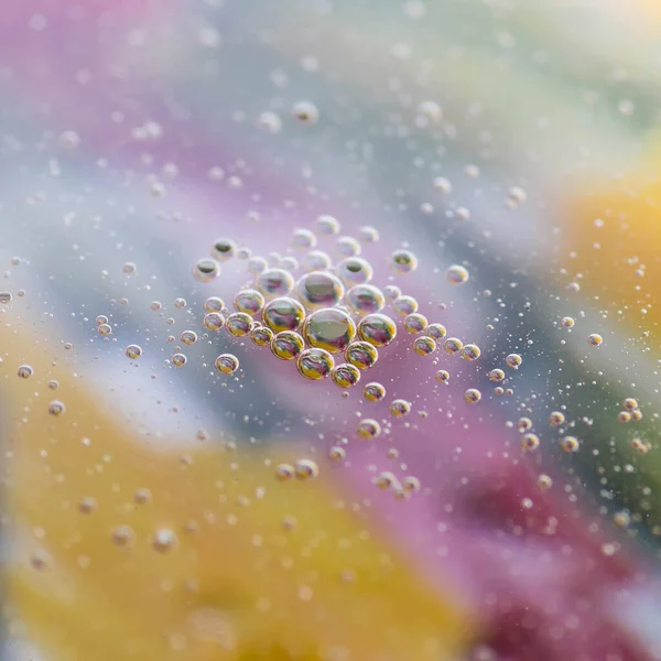 Sudaki yağ damlaları uzaya benzer muhteşem görüntüler oluşturur. Makro. Soyutlama.