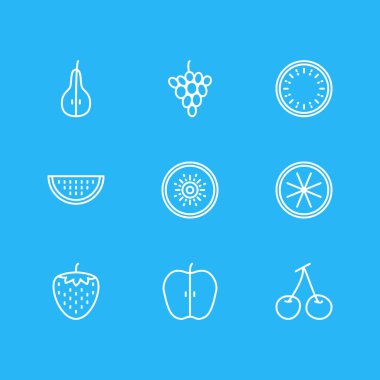 9 meyve simgeler vektör Illustration. Berry, kavun dilimi, Jonagold ve diğer öğeleri düzenlenebilir paketi.