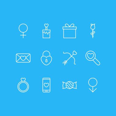 12 aşk simgeler vektör Illustration. Rose, Hediyelik, akıllı telefon ve diğer öğeleri düzenlenebilir paketi.