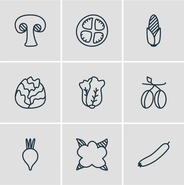 Ilustracja wektorowa 9 ikon żywności. Edytowalne Pack z buraków, plasterek pomidora, śródziemnomorskiej i innych elementów. — Wektor stockowy