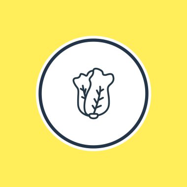 Salata anahat vektör Illustration. Güzel yemek öğesi de Çin lahanası öğesi olarak kullanılabilir.